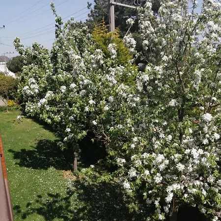 Snow Hill House קארטפה